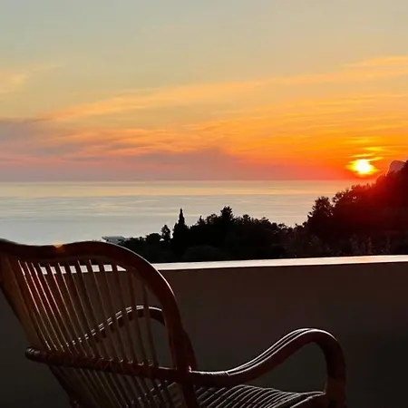 Anaera Luxury * Пелекас